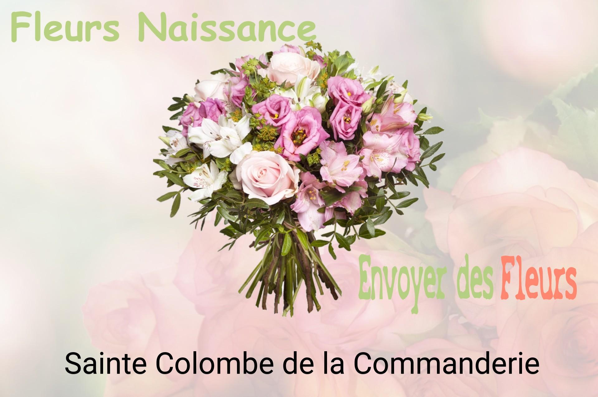 Bouquet de fleurs de naissance livré à Sainte-Colombe-de-la-Commanderie